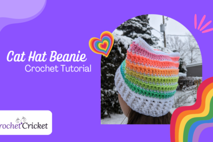 Crochet Cricket Cat Hat Beanie Free Tutorial Rainbow Stripes